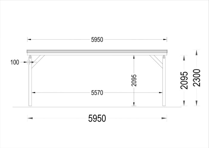 Doppelcarport aus Holz mit Flachdach, 6x6m, 36m²